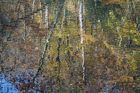 Waggoners Wells reflections 2