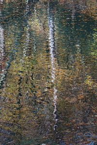 Waggoners Wells Reflections 1