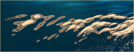 Ocean Water 