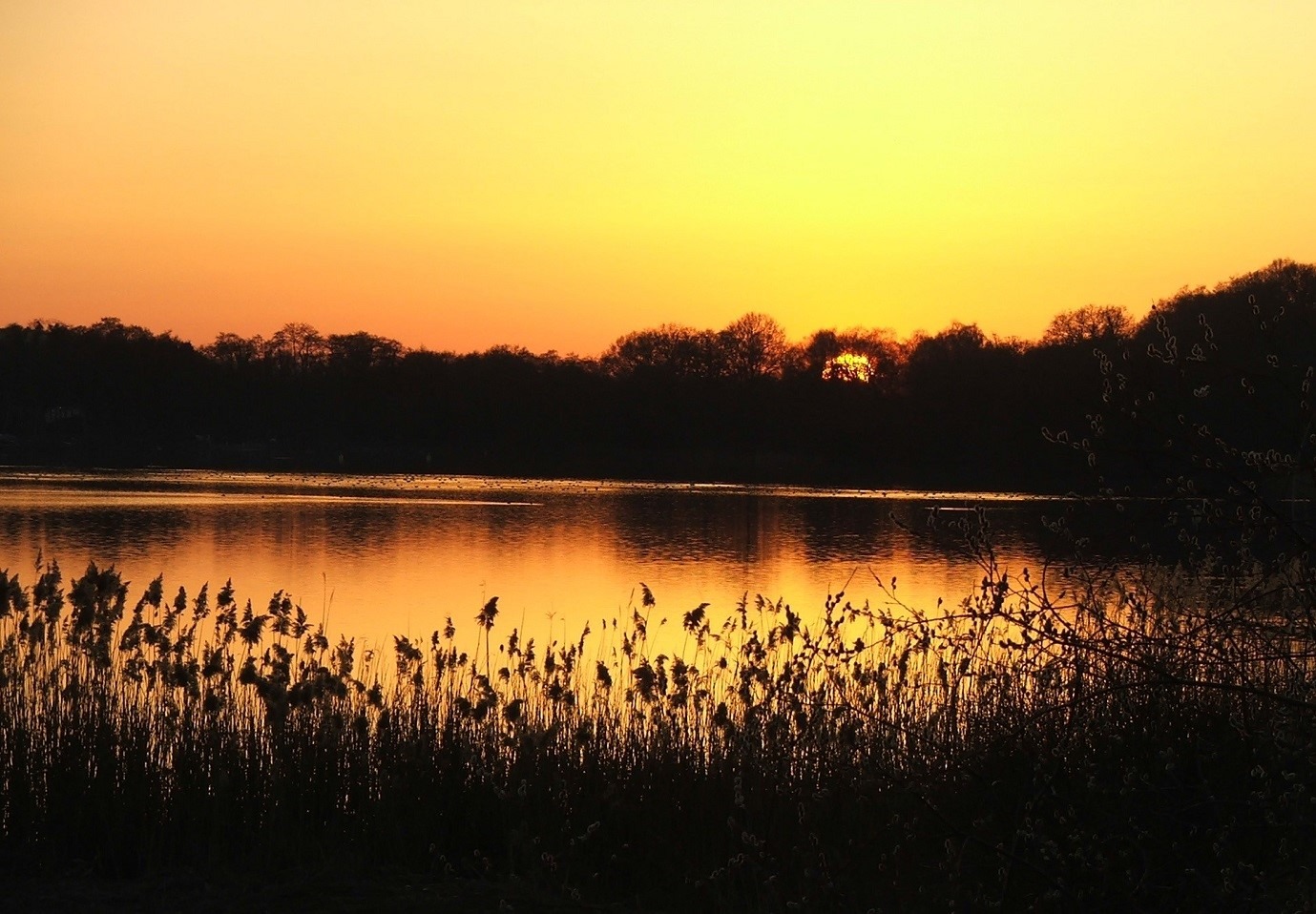 Sunset over Great Pond