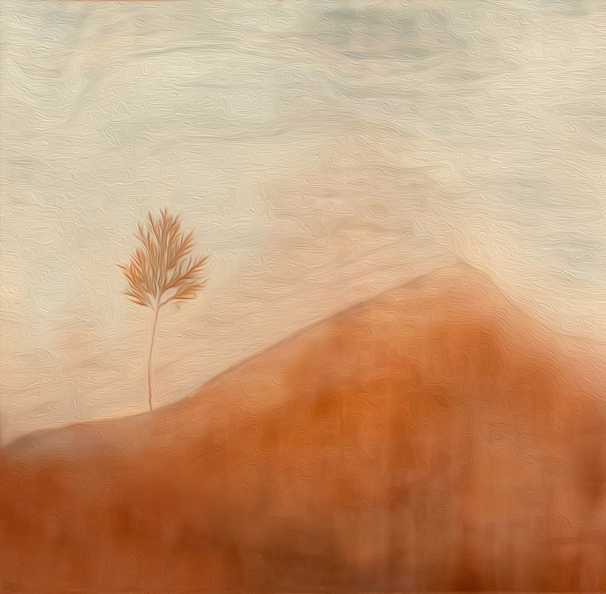The Hillscape
