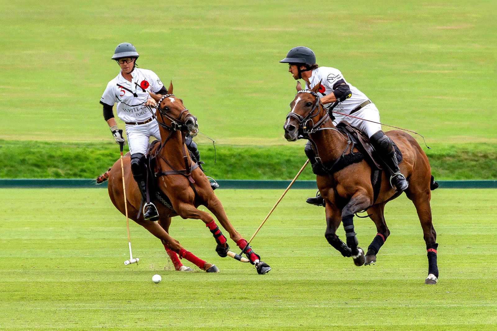 Polo at Cowdry
