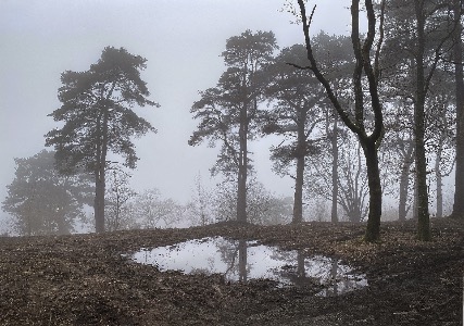  Devils Punch bowl  Hindhead 