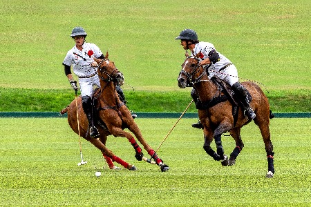Polo at Cowdry