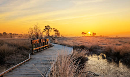 Early morning on the boardwalk