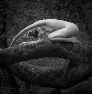 18 - Natures Embrace