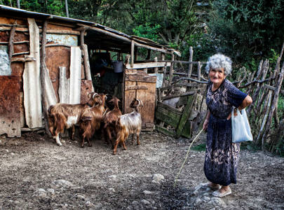 Pictures from the test competition