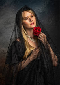 19 - A Rose for the departed - Dave Jones