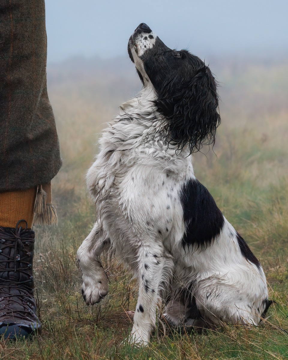 Awaiting Instructions