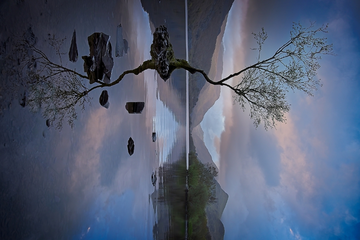 Llyn Padarn Lone Tree
