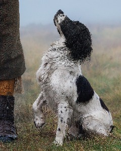 Awaiting Instructions