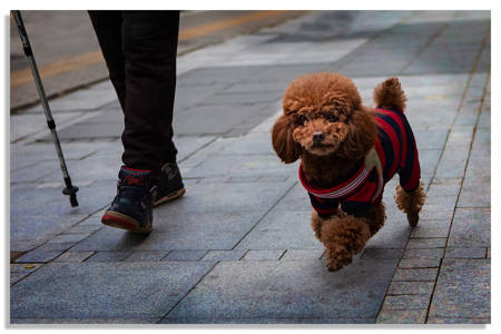 Confident Stepper