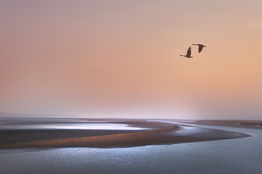 Sample Home Page Image