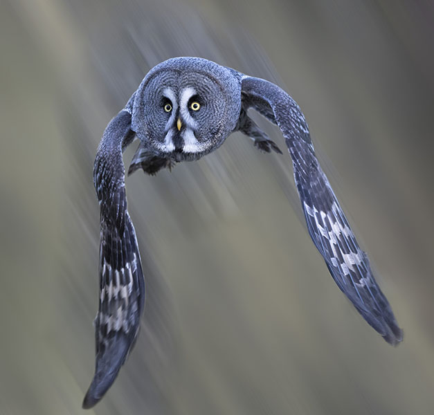 Sample Home Page Image