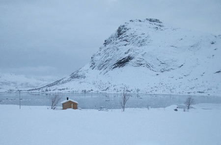 Snown
