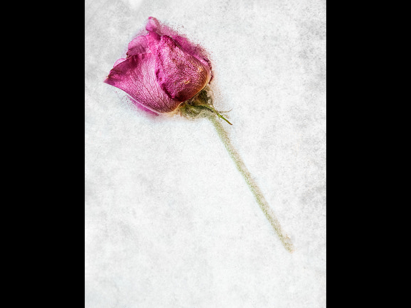 Frozen in time.