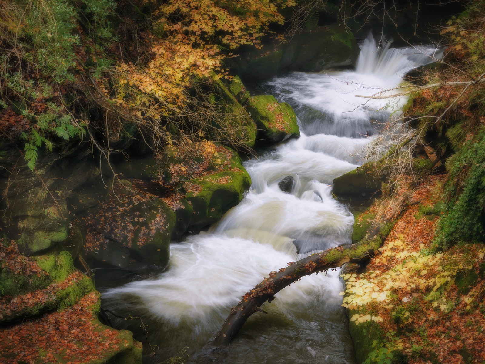 River Spodden