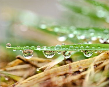 Refractive droplets