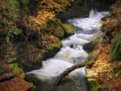 River Spodden