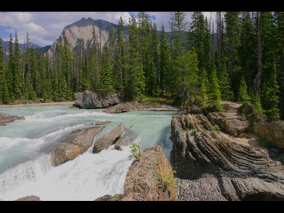 Kicking Horse River