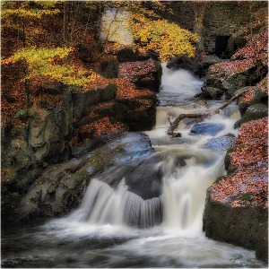 River Spodden at Healey Dell