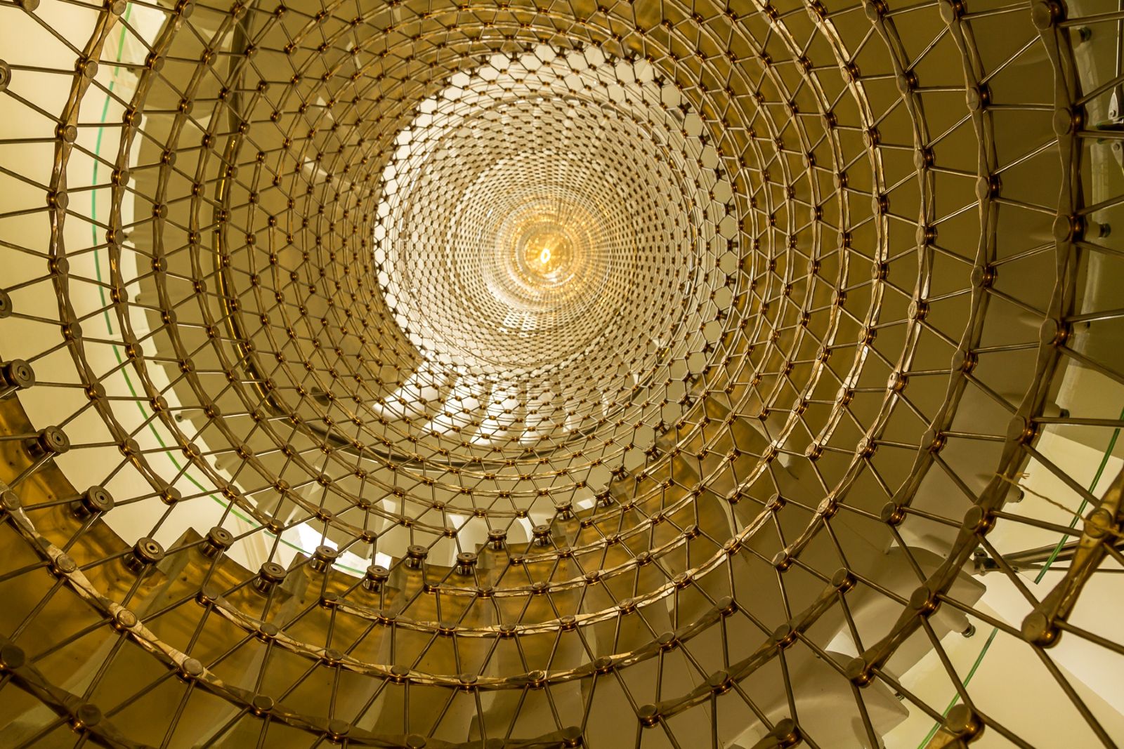 Into the Light by Sandy Wyndham Into the Light