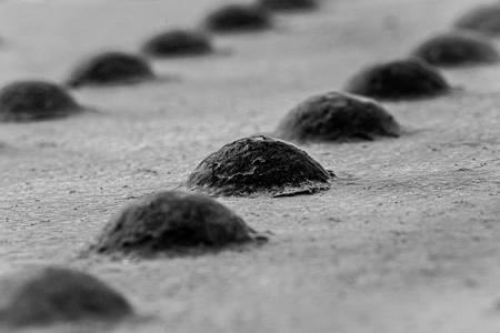 Rivet_Richard Atkinson