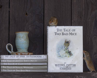 The Tale Of Two Bad Mice