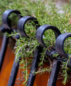 Rosemary railings_Richard Atkinson