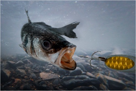Bite