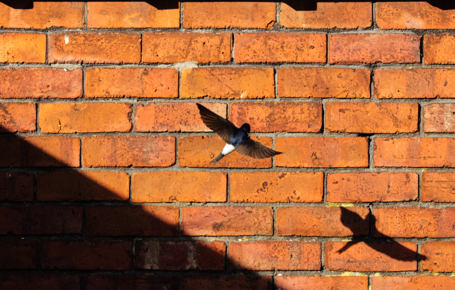 Bricks and Shadows
