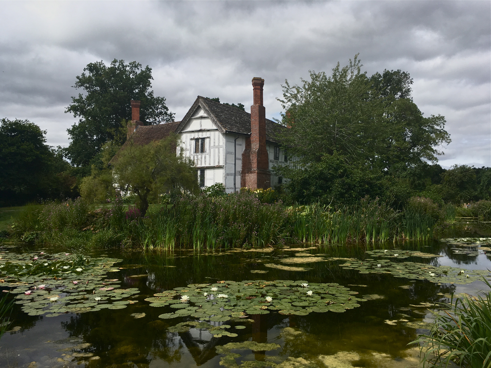 Brockhampton Lily Pond