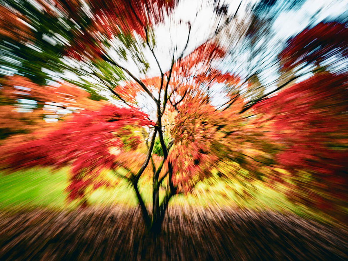 Autumn Explosion
