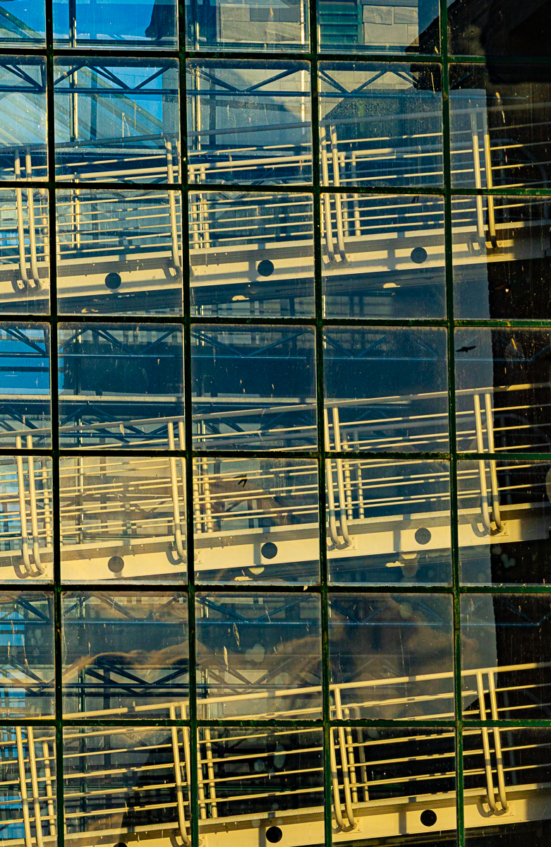 Window 2