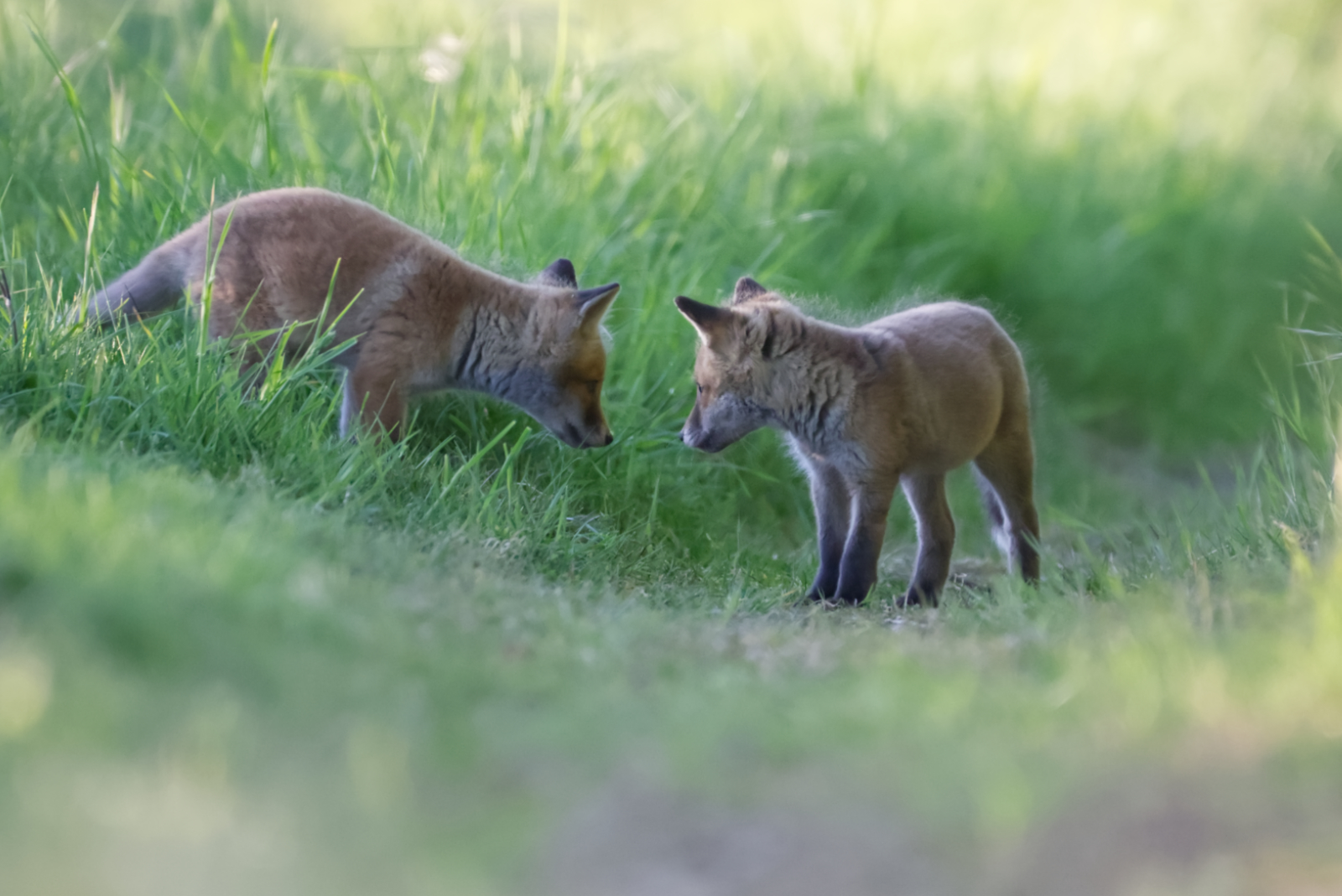 Eye to Eye