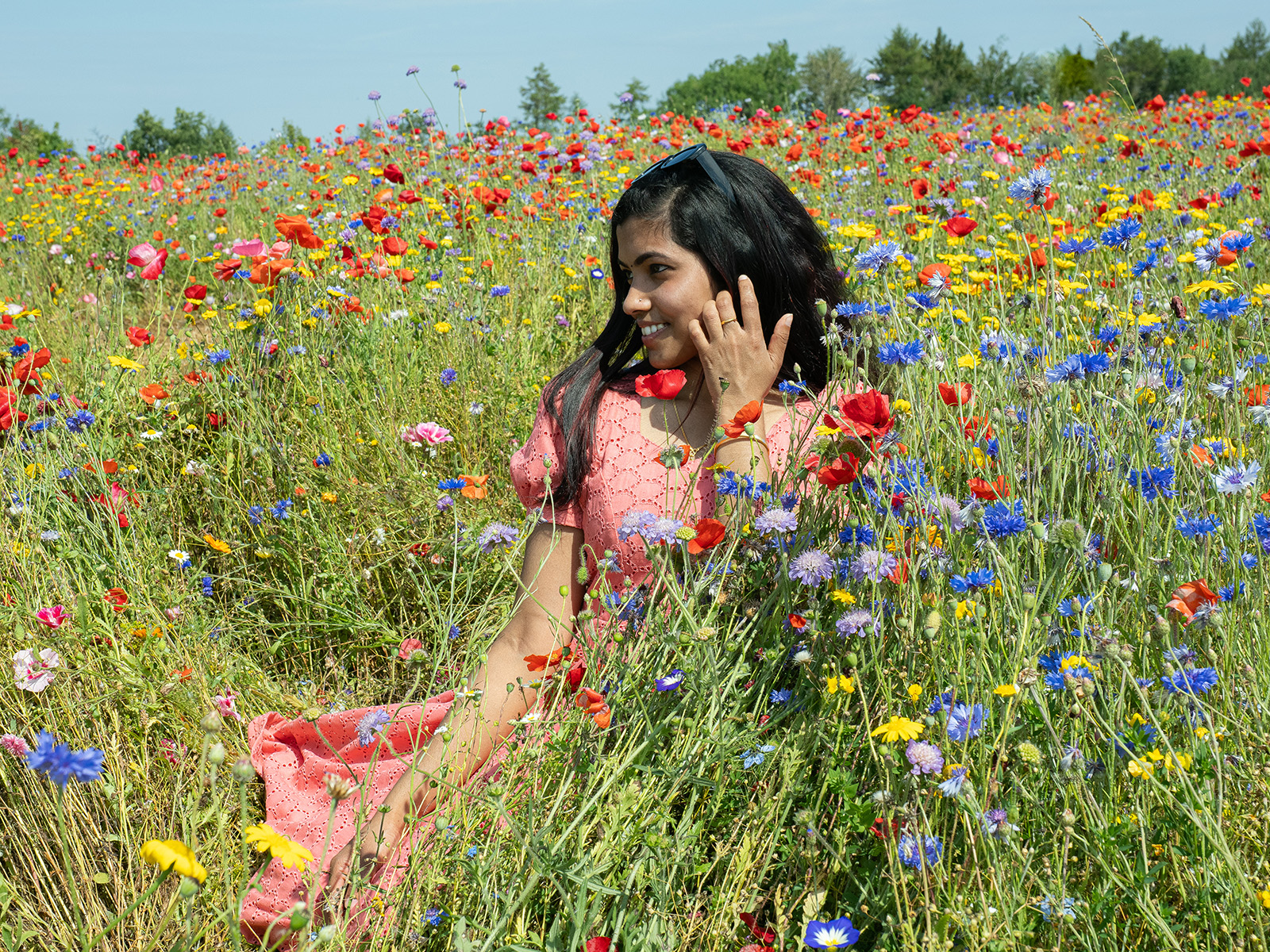 Alphy in Wildflower Meadow