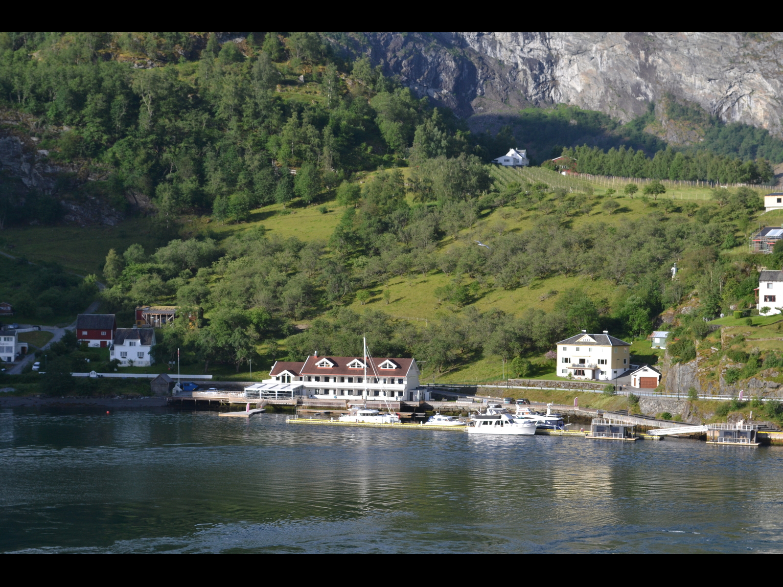 Flam