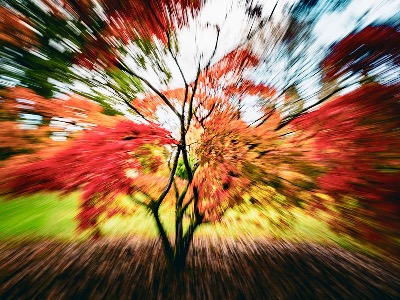 Autumn Explosion