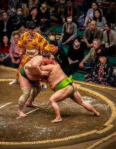 Sumo