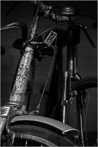 BP Bikes ePhoto