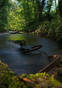 Paul Gardham