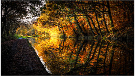 Reflection