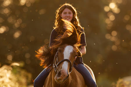 Evening Equestrian