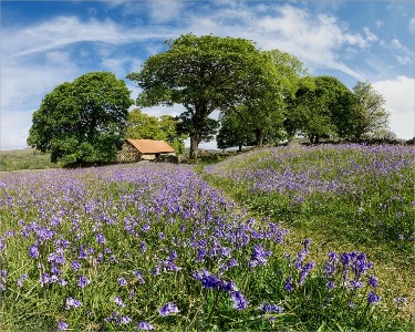 Emsworthy Mire - 21 May 2026