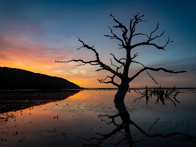 Martin Barber