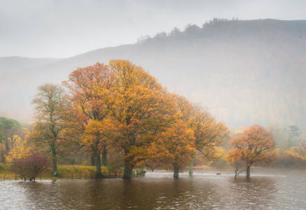 3rd - Autumn Flood Strandshag Bay