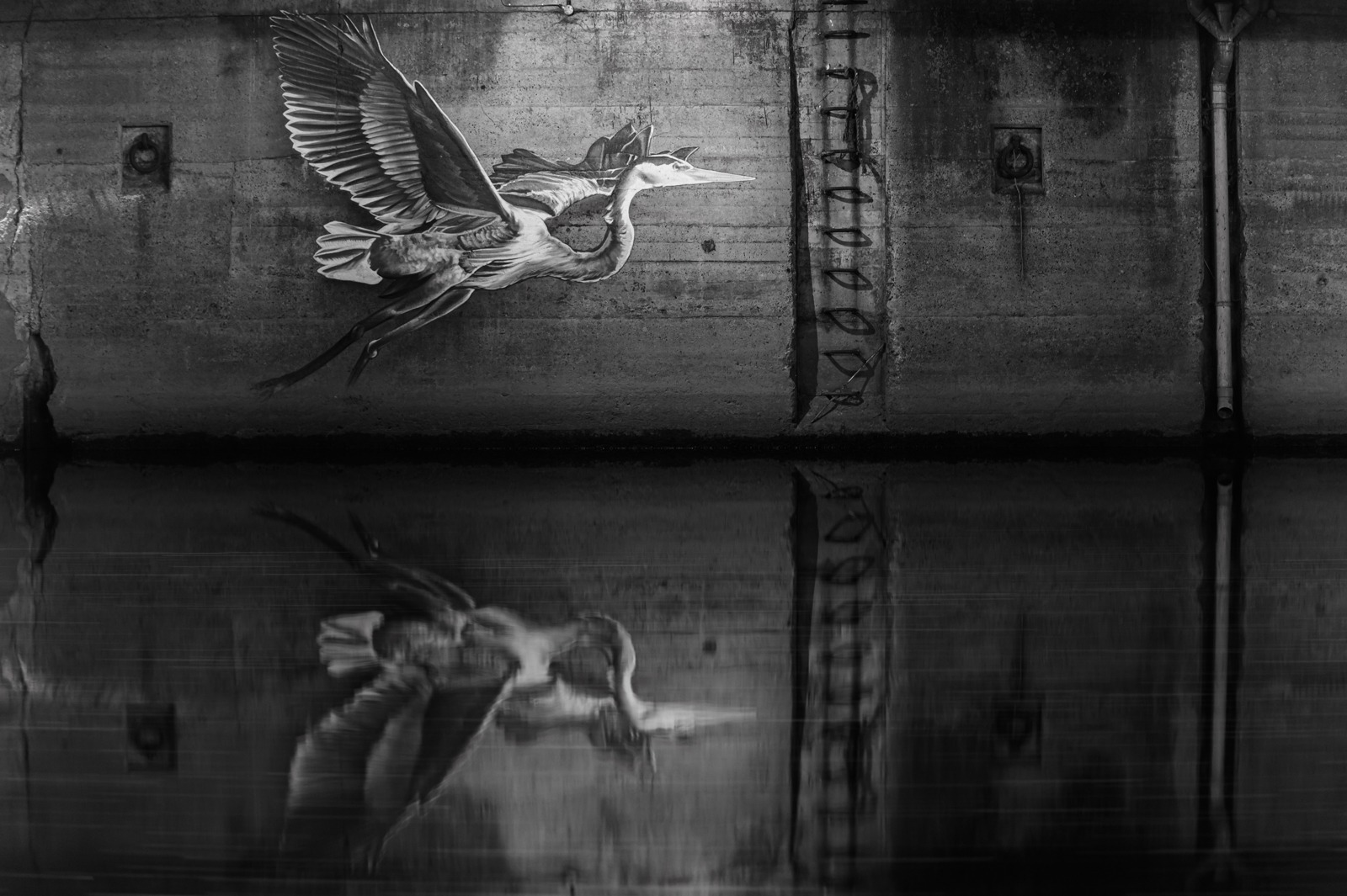 WCC Leeds Outing Sept 23