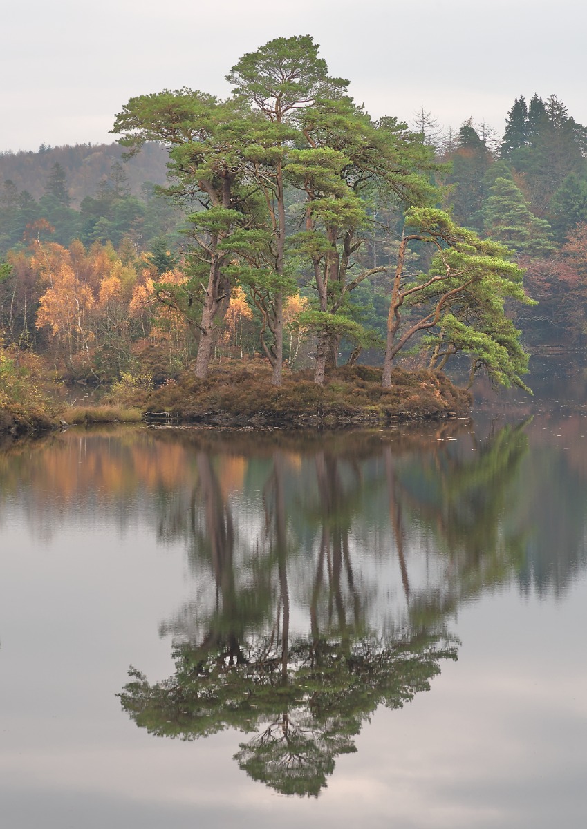 Tarn Hows - Tranquility