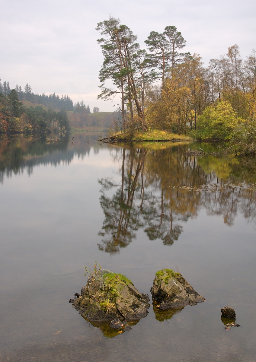 Tarn Hows - Falling by Brian Grange Tarn Hows - Falling