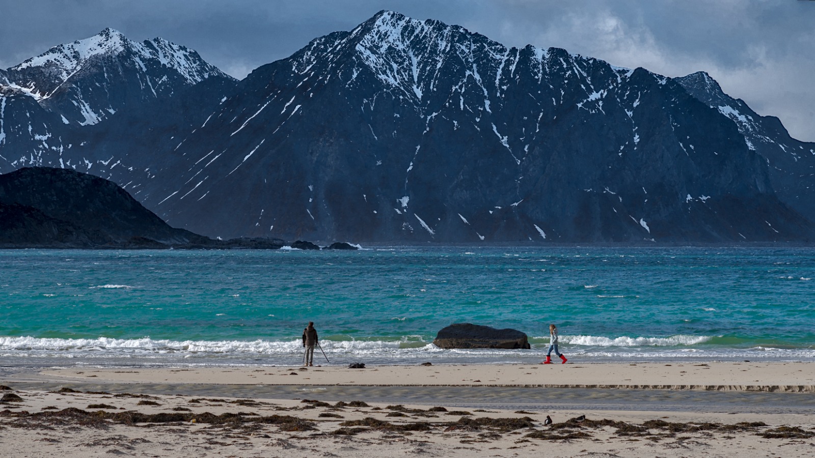 The Understanding Partner